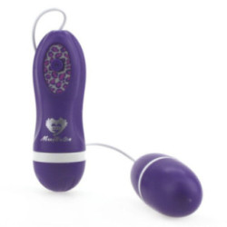 Huevo Vibrador a Prueba de Agua con Control
