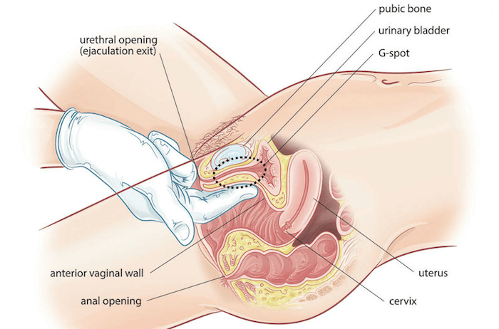 encuentra-el-punto-g